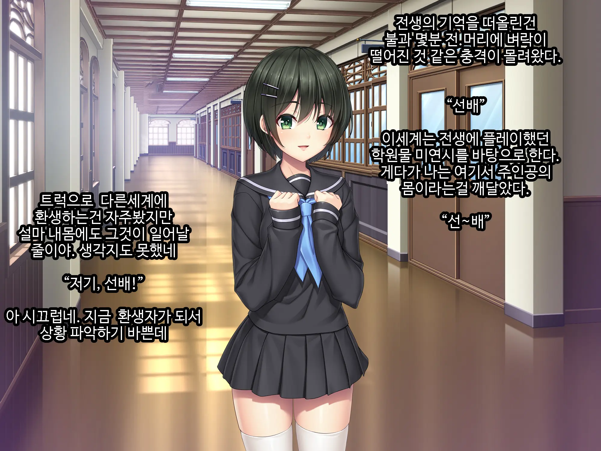 Galge No Heroine O Tasukeru Tame Ni. | 미연시 히로인을 돕기위하여